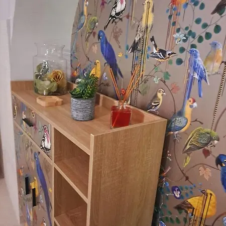 Maison Divino * 特拉尼