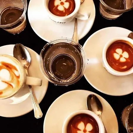 Appartement Maison Divino *